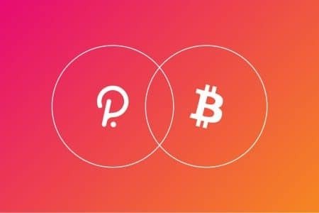 Bitcoin-Alternative: Kryptowährung Polkadot